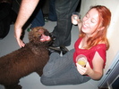 img 5361-800