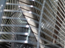 img 5428-800
