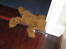img 5442-800