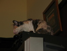img 5787-800