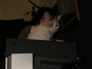 img 5788-800