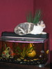 img 5819-800