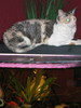 img 5820-800