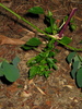 img 6077-800