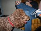 img 6142-800