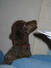 img 6159-800
