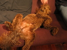 img 6168-800