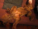 img 6169-800