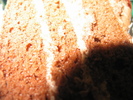 img 6216-800