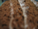 img 6217-800