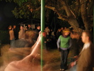img 6290-800