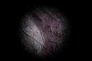img 0531-1024