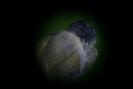 img 0536-1024