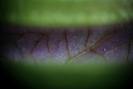 img 0591-1024