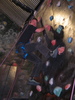 img 7156-800