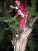 img 7195-800