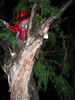 img 7196-800